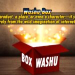 washu box