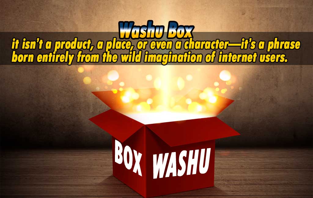 washu box