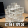 cñims